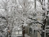 雪景色の庭屋